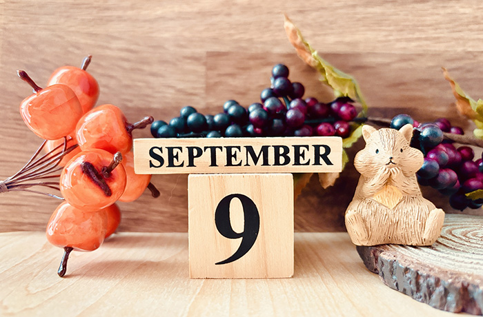9月の診療日程のご案内